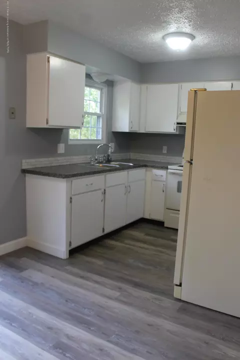 1121 Eugenia Dr, Mason, MI 48854 photo 20