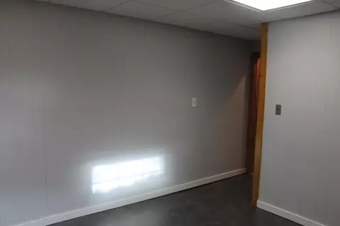 1121 Eugenia Dr, Mason, MI 48854 photo 33