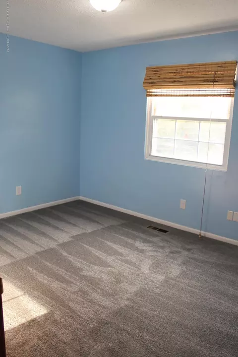 1121 Eugenia Dr, Mason, MI 48854 photo 27