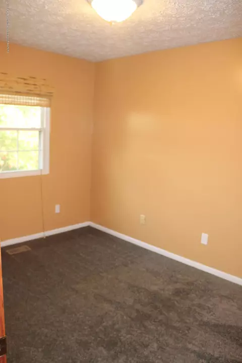 1121 Eugenia Dr, Mason, MI 48854 photo 25