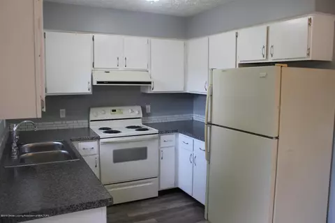1121 Eugenia Dr, Mason, MI 48854 photo 19