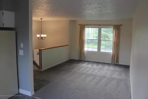 1121 Eugenia Dr, Mason, MI 48854 photo 17