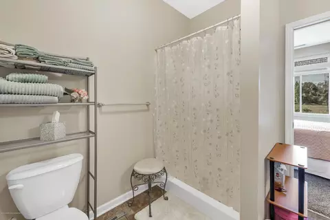 15130 Via Carmella Dr, Dewitt, MI 48820 photo 17