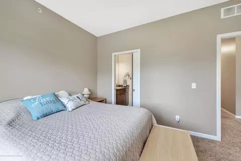 15130 Via Carmella Dr, Dewitt, MI 48820 photo 15