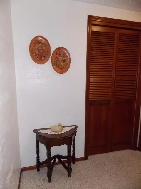 14085 W Howe Rd, Eagle, MI 48822 photo 32