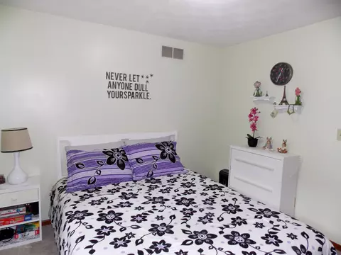 14085 W Howe Rd, Eagle, MI 48822 photo 22