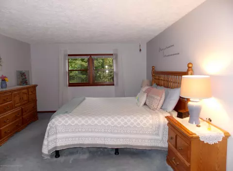 14085 W Howe Rd, Eagle, MI 48822 photo 24