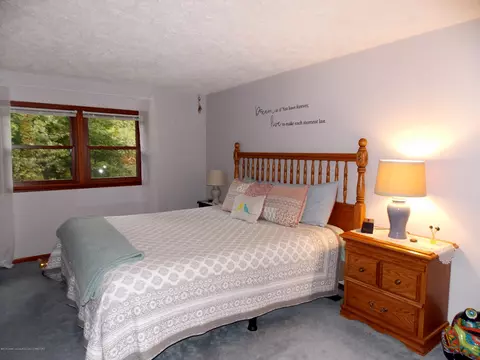 14085 W Howe Rd, Eagle, MI 48822 photo 23