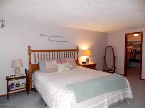 14085 W Howe Rd, Eagle, MI 48822 photo 26
