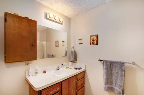706 E Geneva Dr, Dewitt, MI 48820 photo 40
