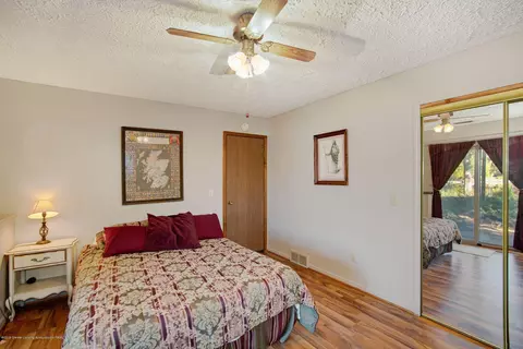 706 E Geneva Dr, Dewitt, MI 48820 photo 20