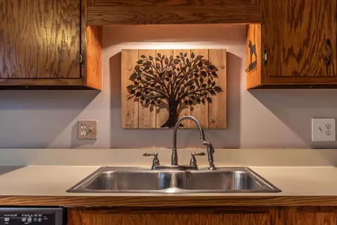 1503 Waxwing Dr, Dewitt, MI 48820 photo 9