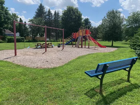 503 Manchester Dr, Dewitt, MI 48820 photo 21