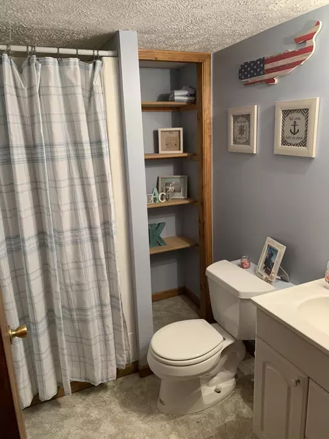 503 Manchester Dr, Dewitt, MI 48820 photo 18