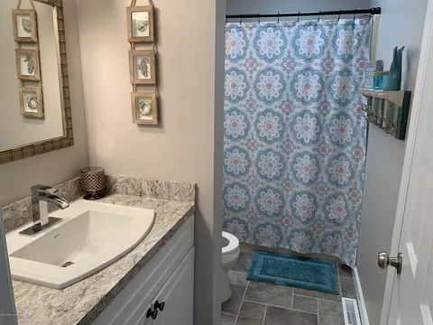 503 Manchester Dr, Dewitt, MI 48820 photo 12