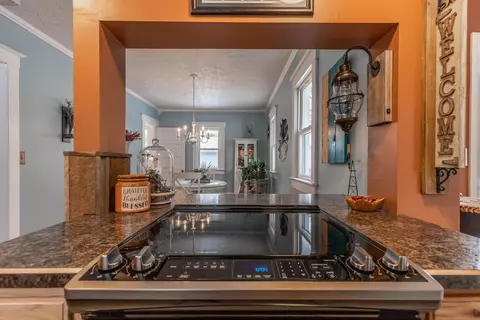 202 N Logan St, Dewitt, MI 48820 photo 11