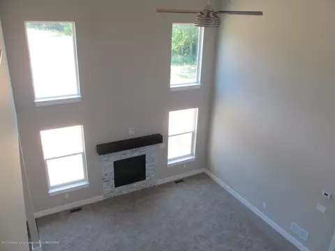 13845 Bauerle Rd, Dewitt, MI 48820 photo 41