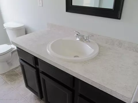 13845 Bauerle Rd, Dewitt, MI 48820 photo 50