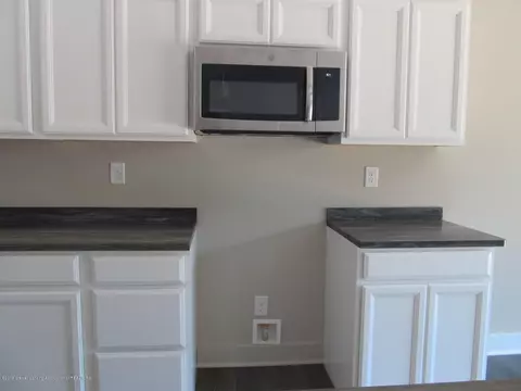 13845 Bauerle Rd, Dewitt, MI 48820 photo 20