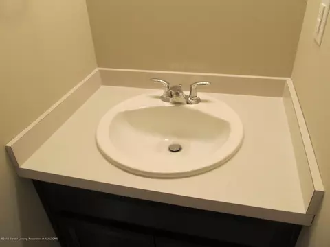 13845 Bauerle Rd, Dewitt, MI 48820 photo 28