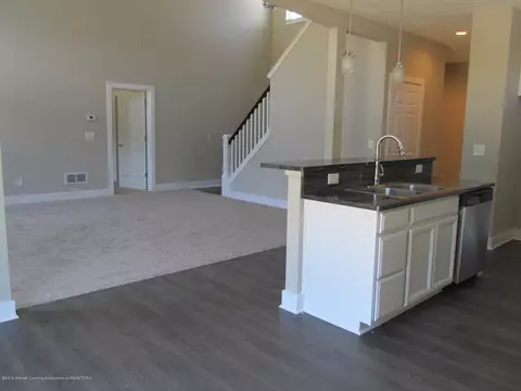 13845 Bauerle Rd, Dewitt, MI 48820 photo 13
