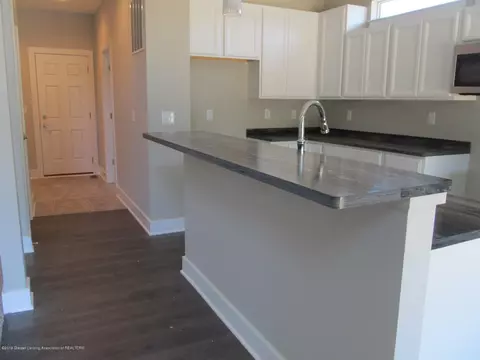 13845 Bauerle Rd, Dewitt, MI 48820 photo 23