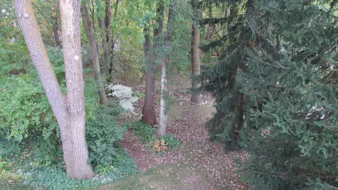 352 E Bailey Cir, Mason, MI 48854 photo 45