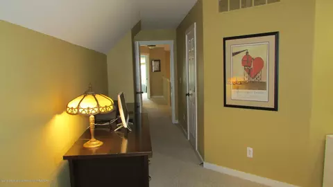 352 E Bailey Cir, Mason, MI 48854 photo 30