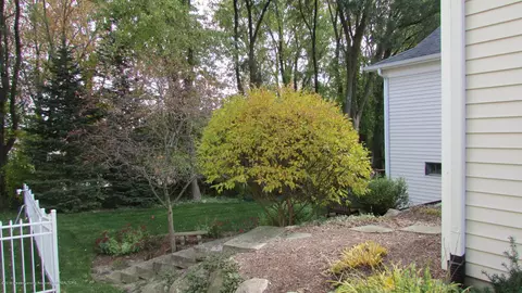 352 E Bailey Cir, Mason, MI 48854 photo 42