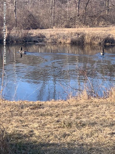 2383 E Maple Rapids Rd, Saint Johns, MI 48879 photo 21