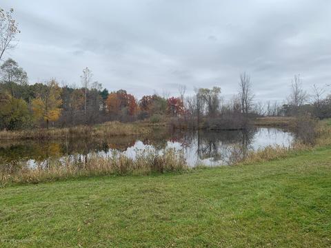 2383 E Maple Rapids Rd, Saint Johns, MI 48879 photo 20