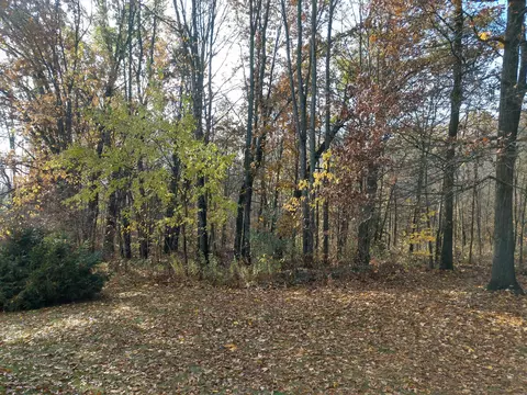 9760 Springport Rd, Parma, MI 49269 photo 15
