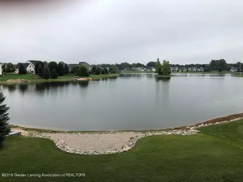 12621 Paradise Dr, Dewitt, MI 48820 photo 54