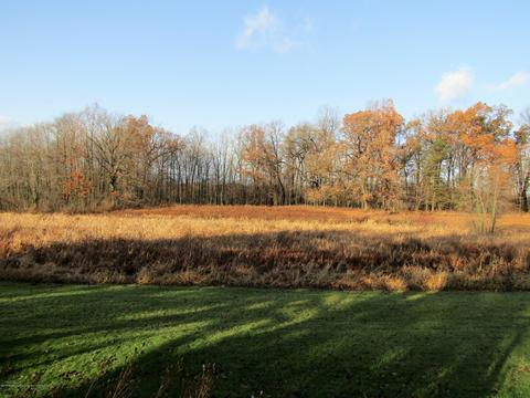 2193 Barry Rd, Williamston, MI 48895 photo 6