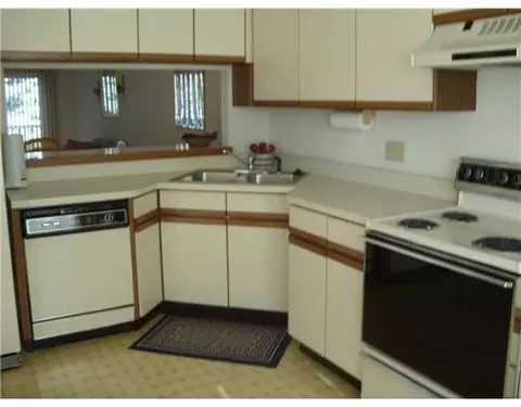 6528 Springtree, Lansing, MI 48917 photo 2