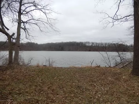 8227 Sunset Dr, Lyons, MI 48851 photo 38