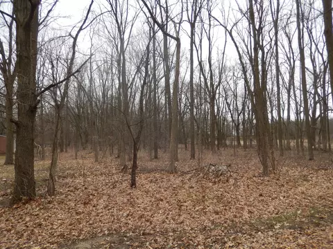 8227 Sunset Dr, Lyons, MI 48851 photo 33