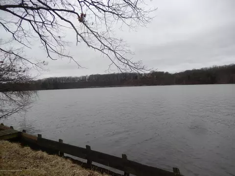 8227 Sunset Dr, Lyons, MI 48851 photo 31