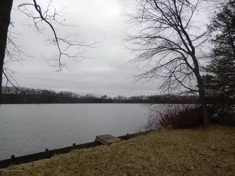 8227 Sunset Dr, Lyons, MI 48851 photo 29
