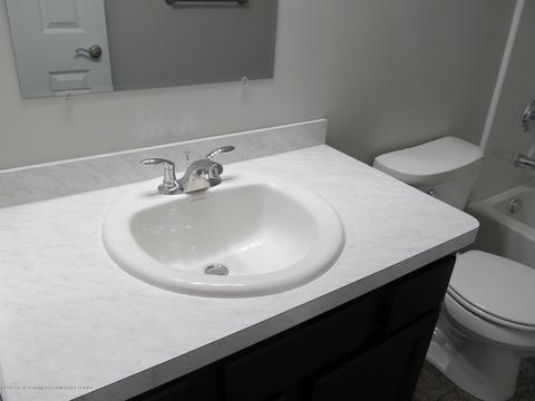 13870 Bauerle Rd, Dewitt, MI 48820 photo 21
