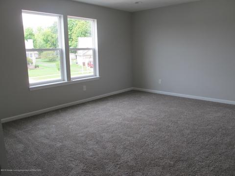13870 Bauerle Rd, Dewitt, MI 48820 photo 14