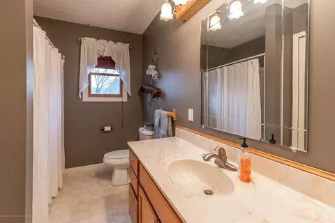1742 E Stoll Rd, Lansing, MI 48906 photo 17