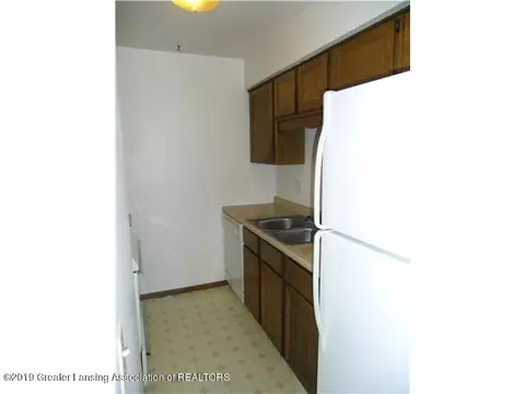 1107 N Chimney Hill Dr, Dewitt, MI 48820 photo 5