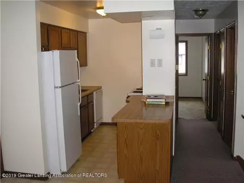 1107 N Chimney Hill Dr, Dewitt, MI 48820 photo 2
