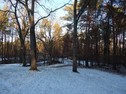 12460 Upton Rd, Bath, MI 48808 photo 56