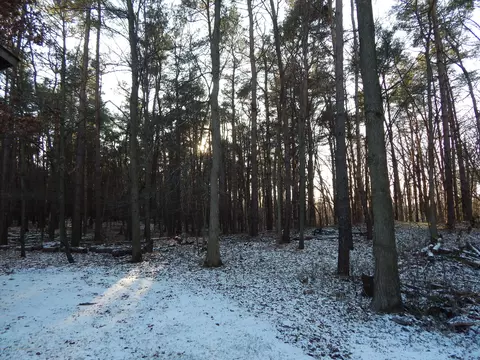 12460 Upton Rd, Bath, MI 48808 photo 50