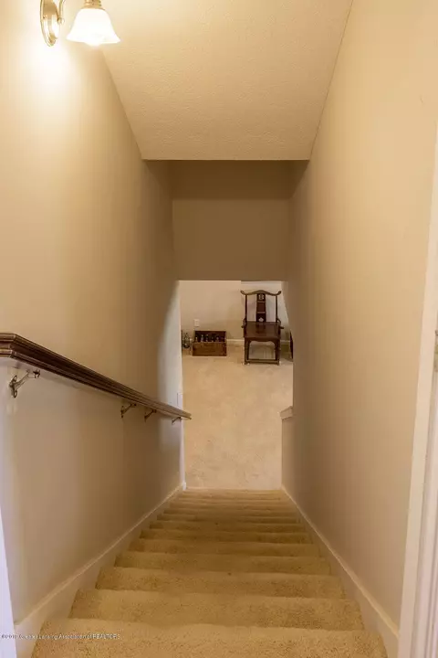 1184 Lobelia Ln, Dewitt, MI 48820 photo 38