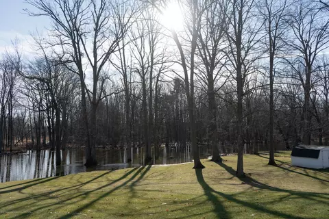 4171 Driftwood Dr, Dewitt, MI 48820 photo 21