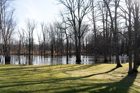 4171 Driftwood Dr, Dewitt, MI 48820 photo 20