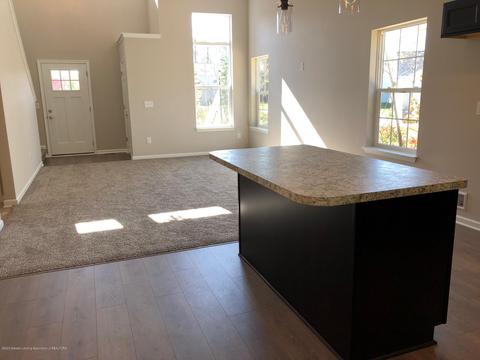 5153 Stone River Cir, Jackson, MI 49201 photo 9